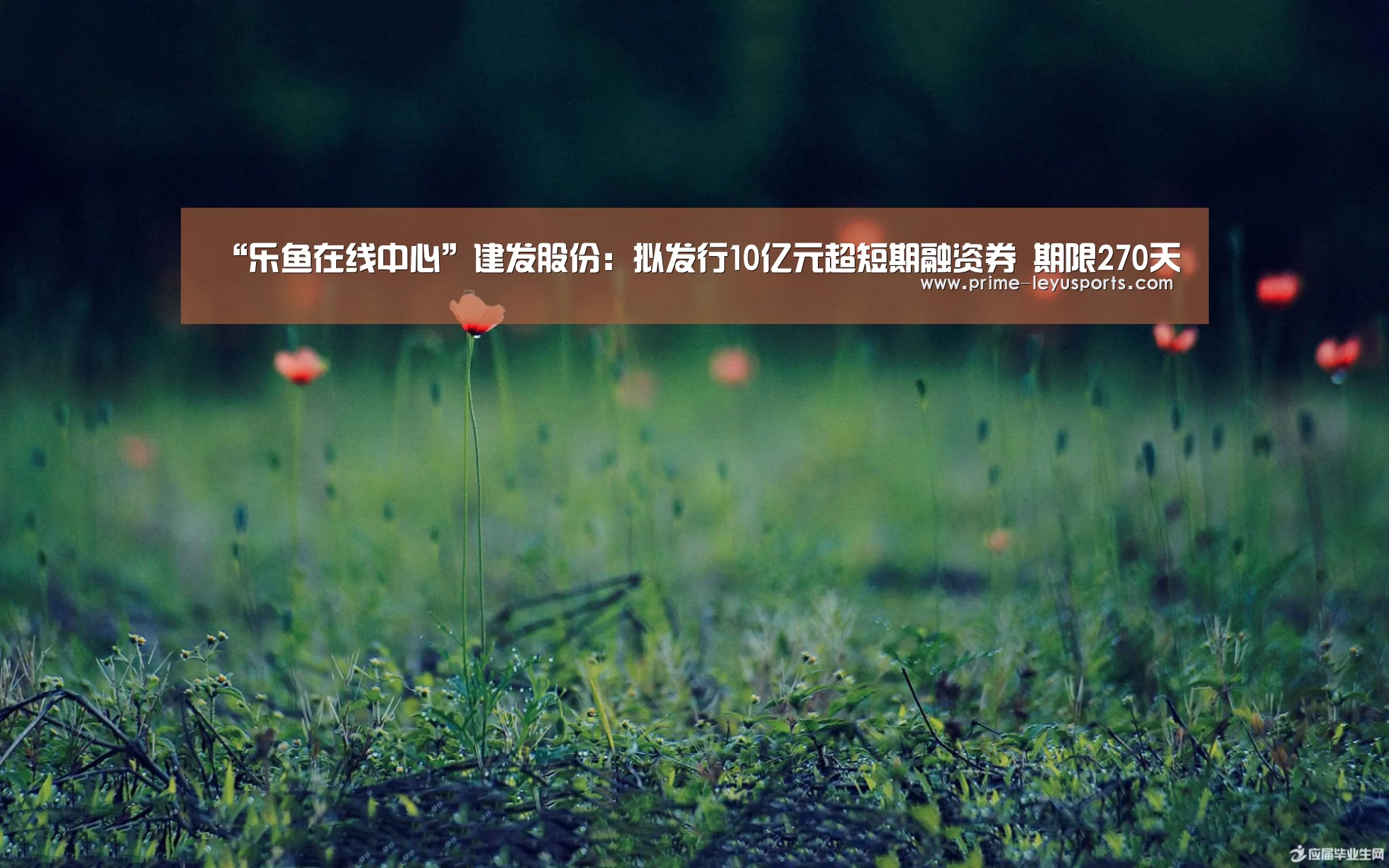 “乐鱼在线中心”建发股份:拟发行10亿元超短期融资券 期限270天(图2) 乐鱼