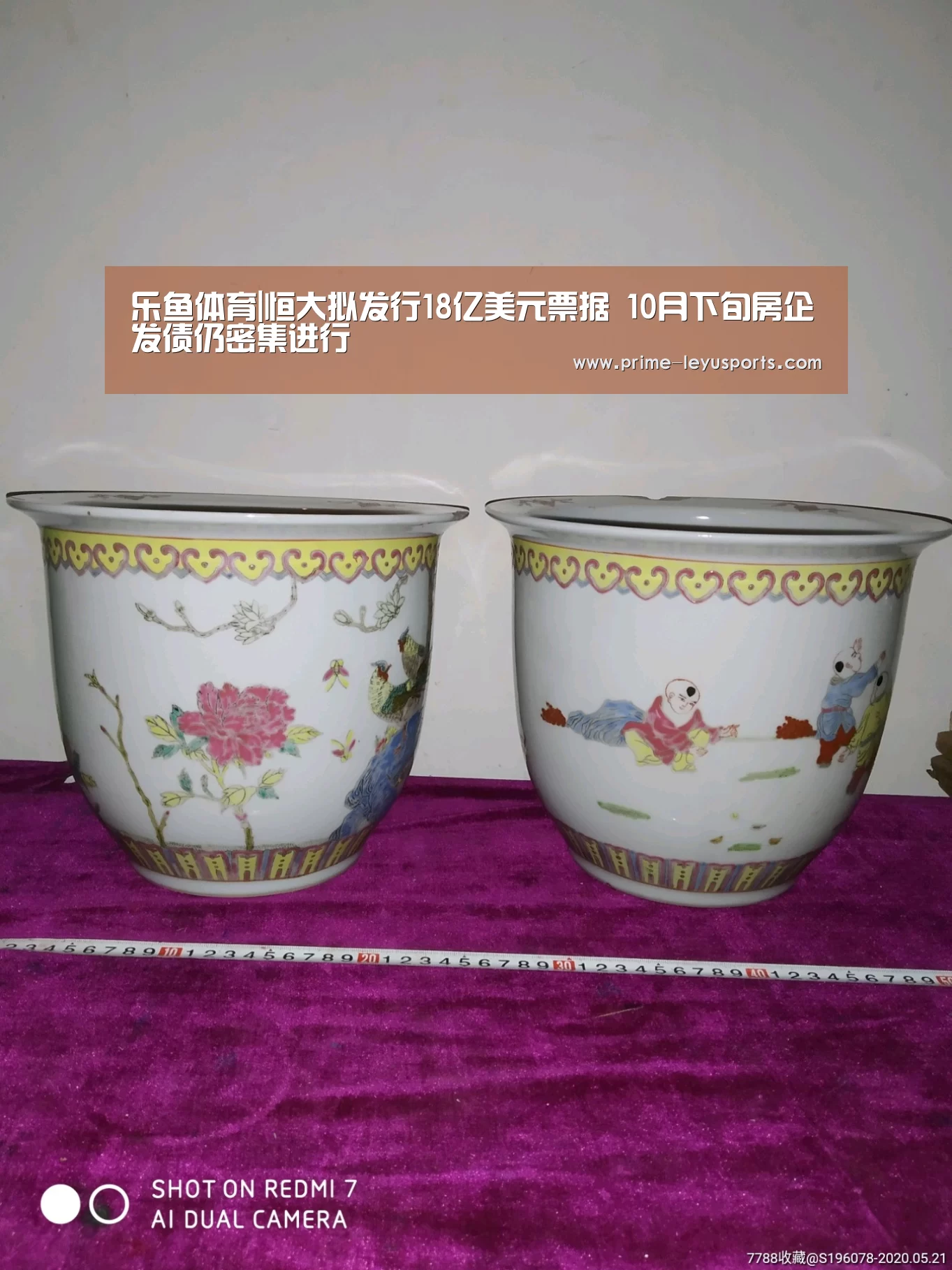 乐鱼